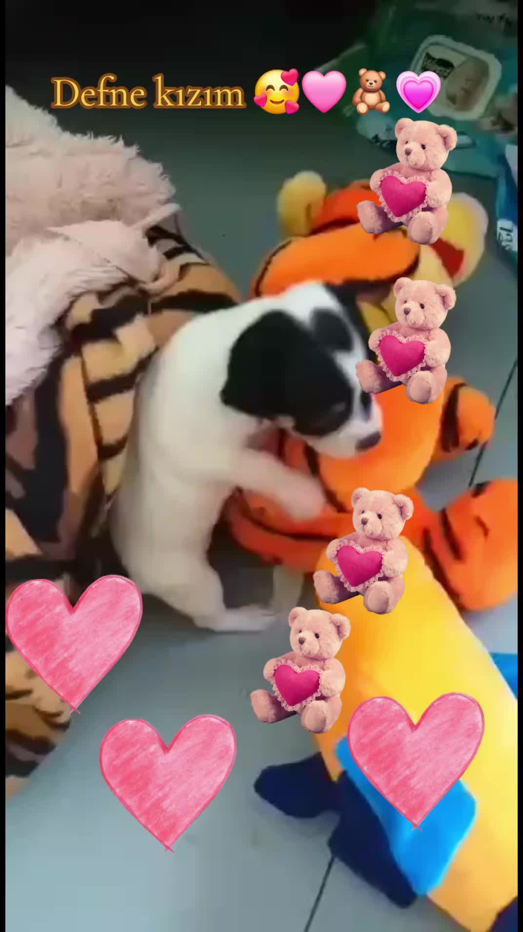 @Melek melek 🌹😇
