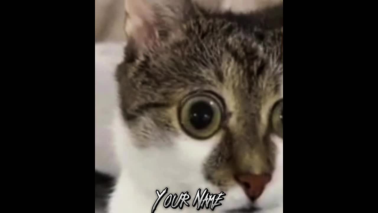 @FYNOX