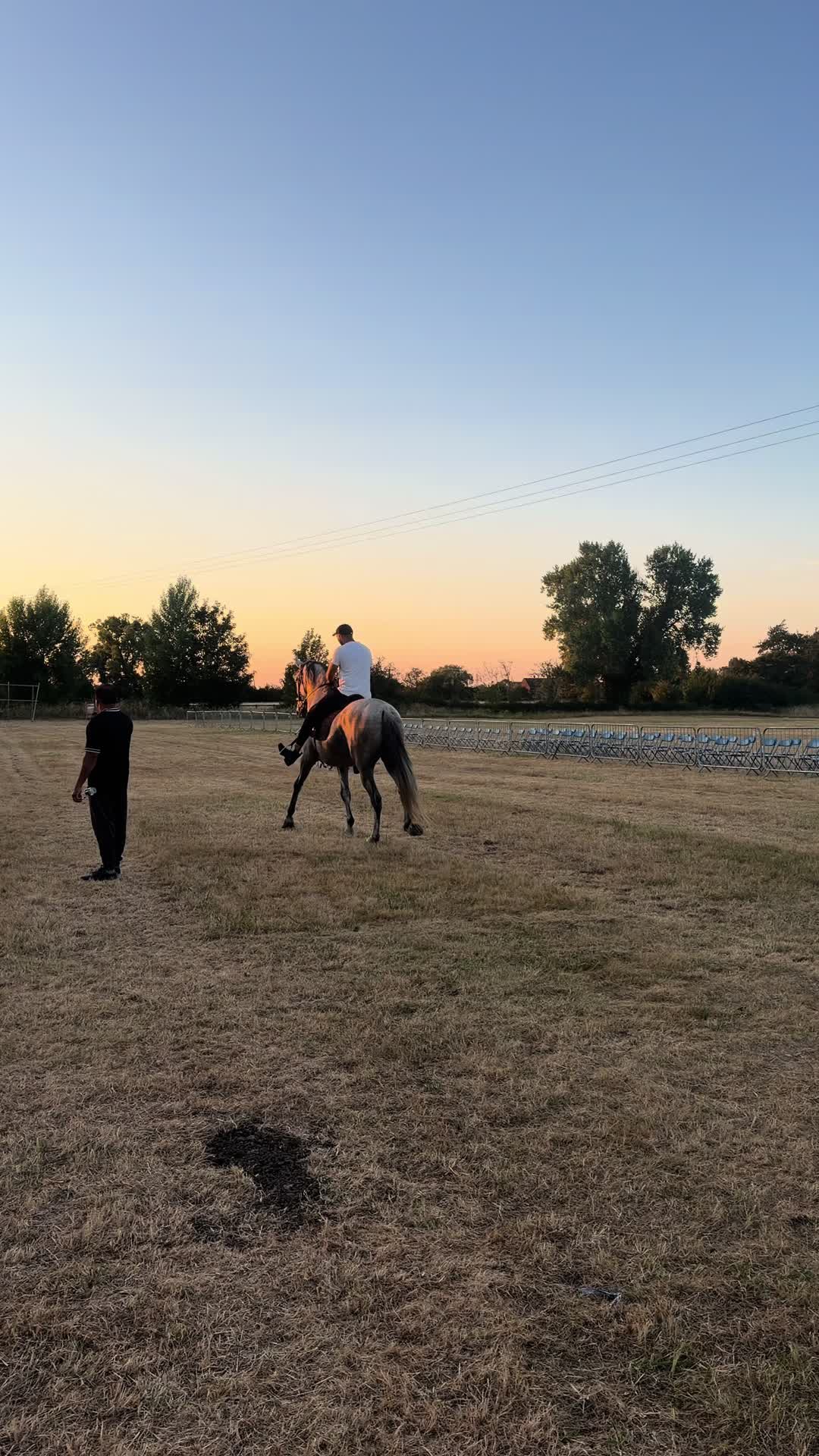 @Slough horses