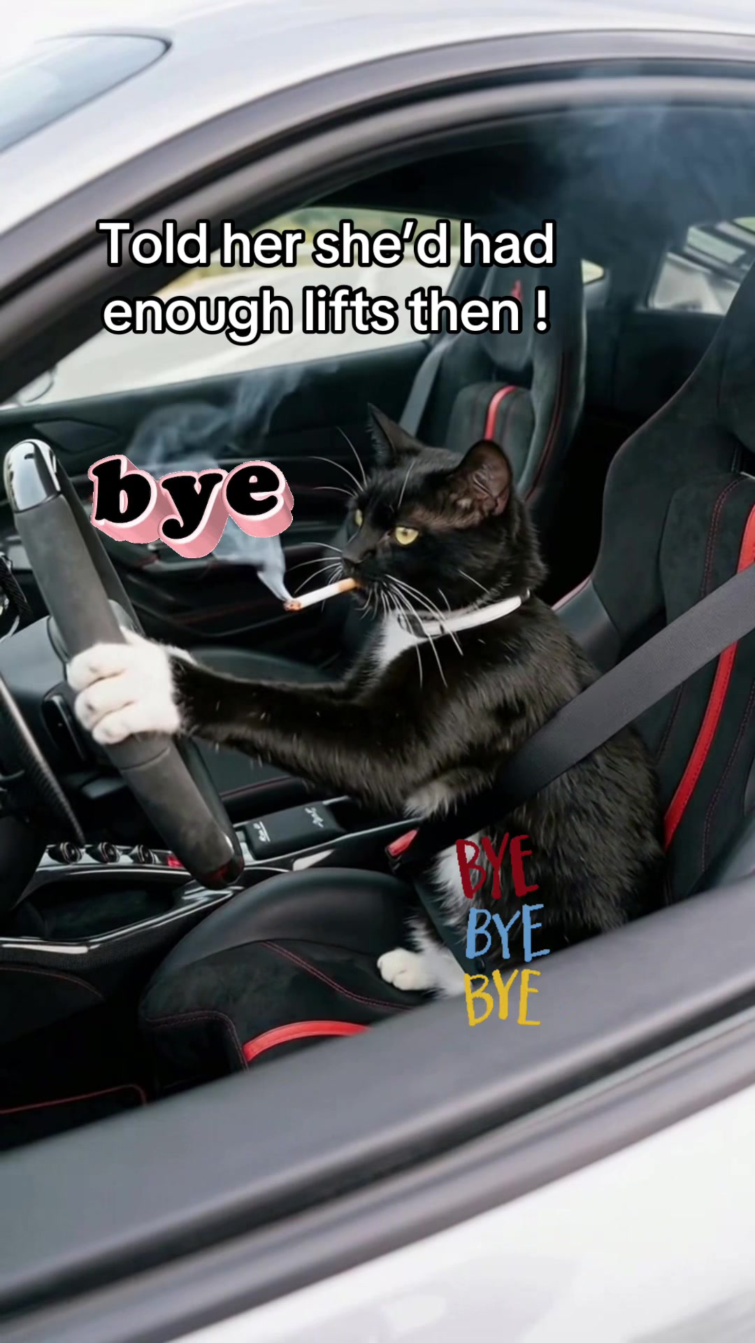 @Rebecca and Zorro 🐈⬛