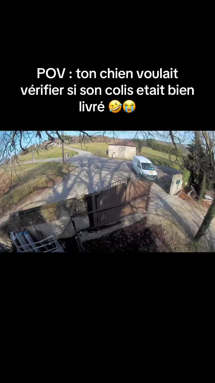 @Lyssandre Bonnifacy