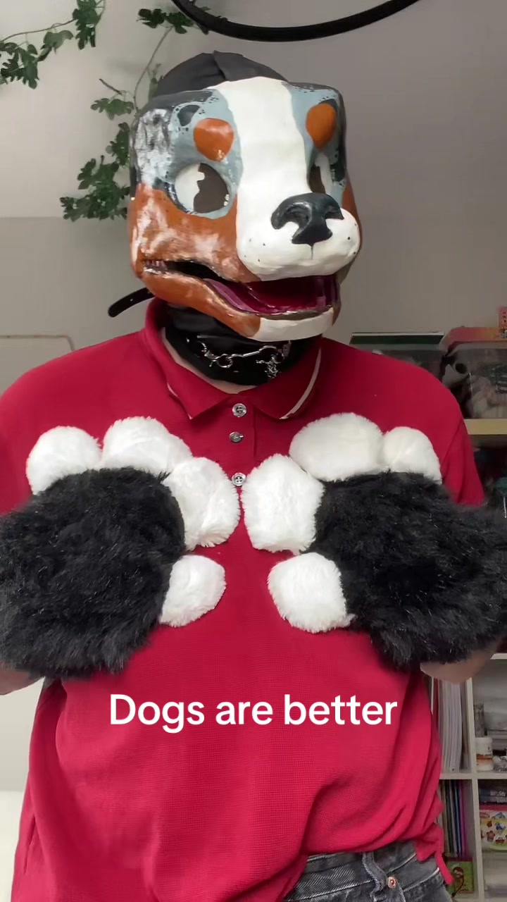 @⋆˚࿔ ☘️ 𝐓𝐫𝐞𝐟𝐥𝐞 🐾˚⋆