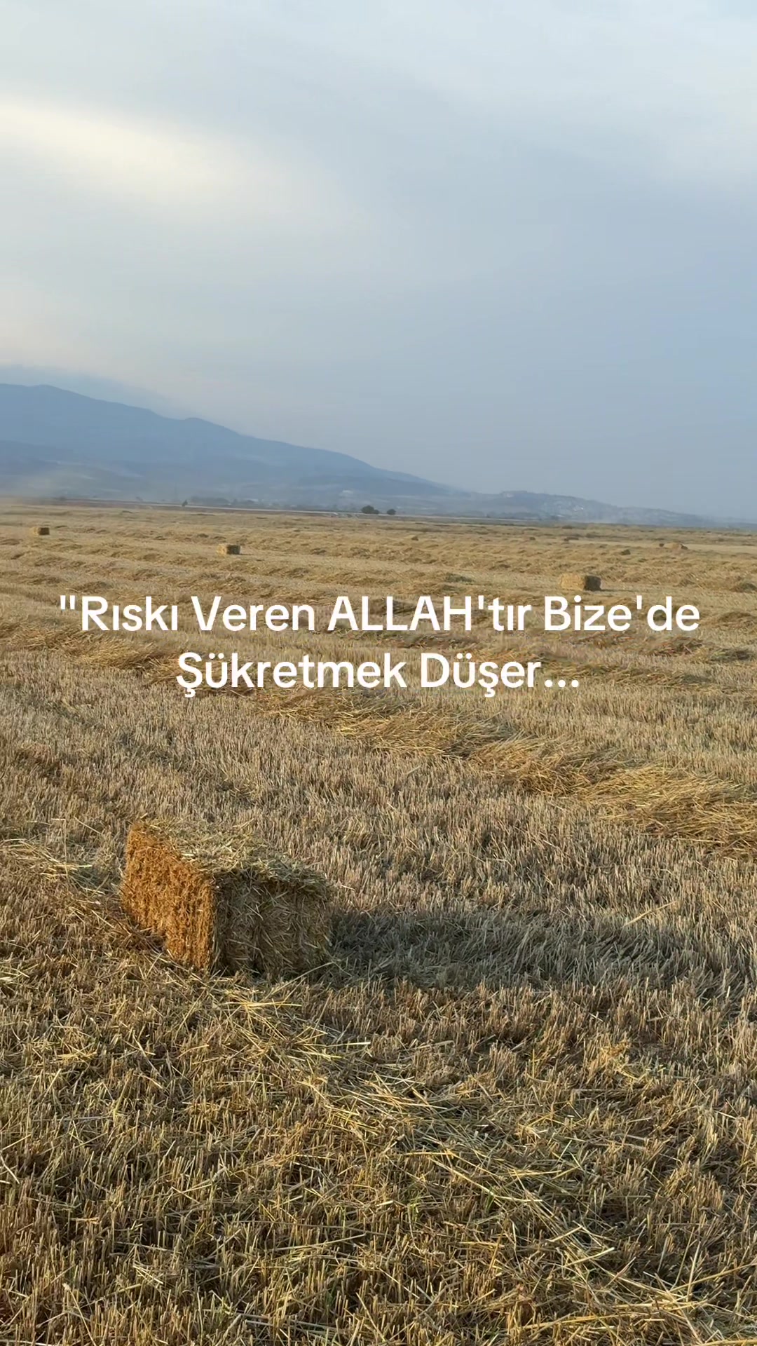 @RESUL BUCAK