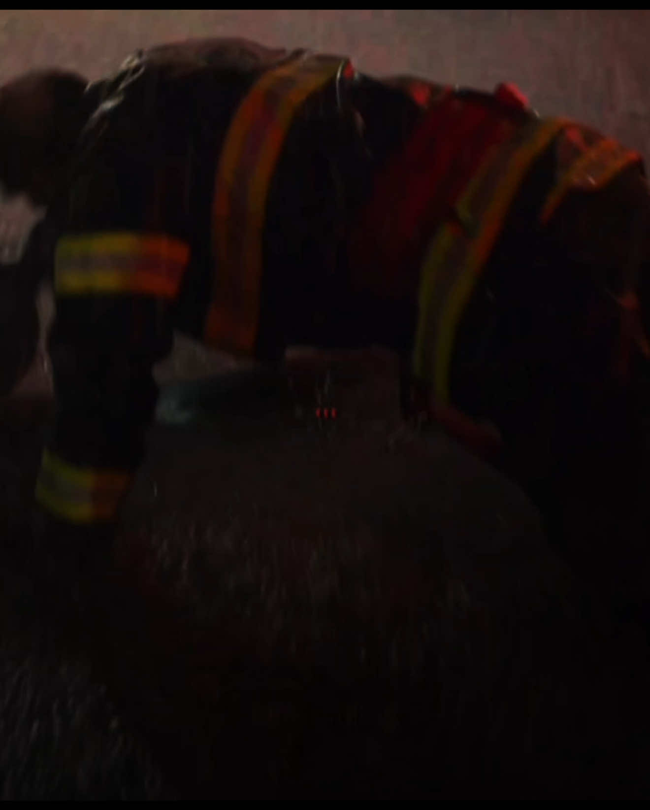 @𝙚𝙢𝙞𝙡𝙞𝙚 𝜗ৎ
