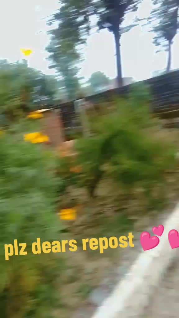 @रामाशंकर गौतम