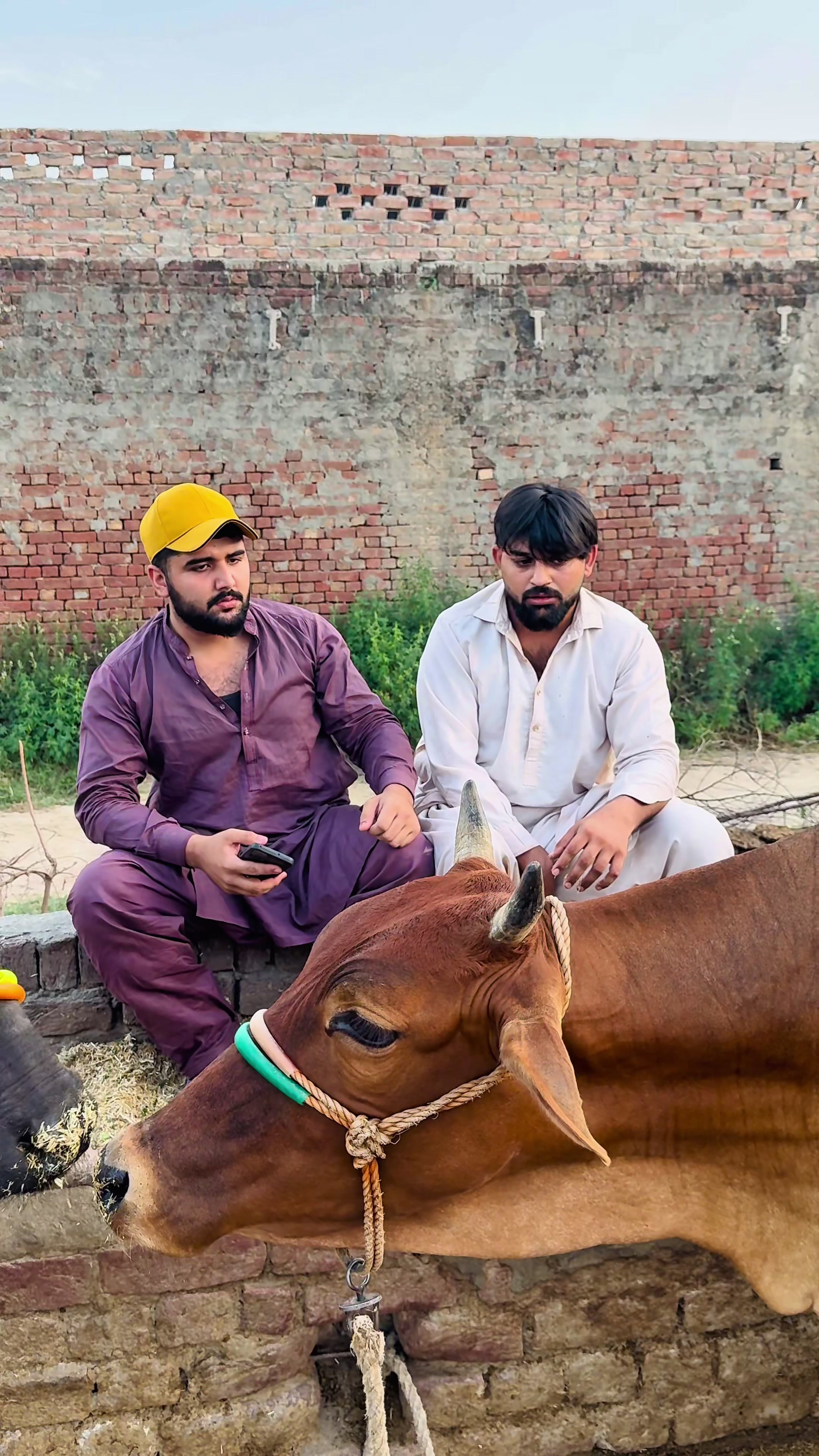 @SAQI ⚡ JUtT