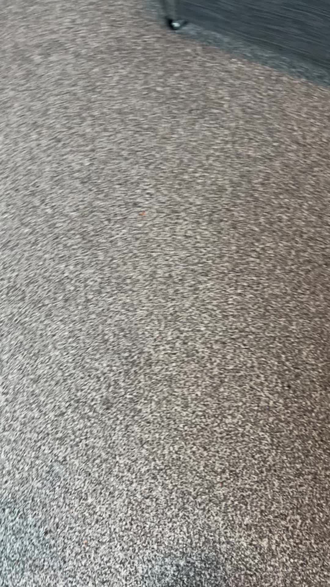 @chknnoodles