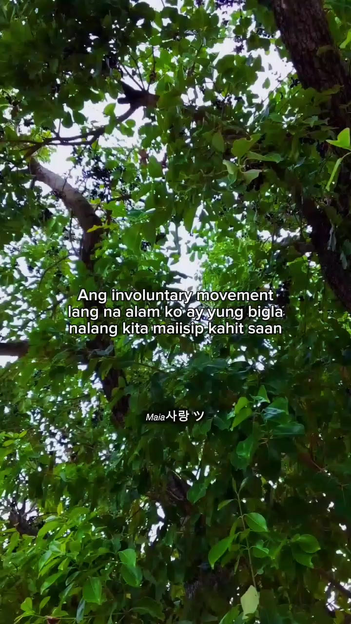 @𝘔𝘢𝘪𝘢사랑 ツ