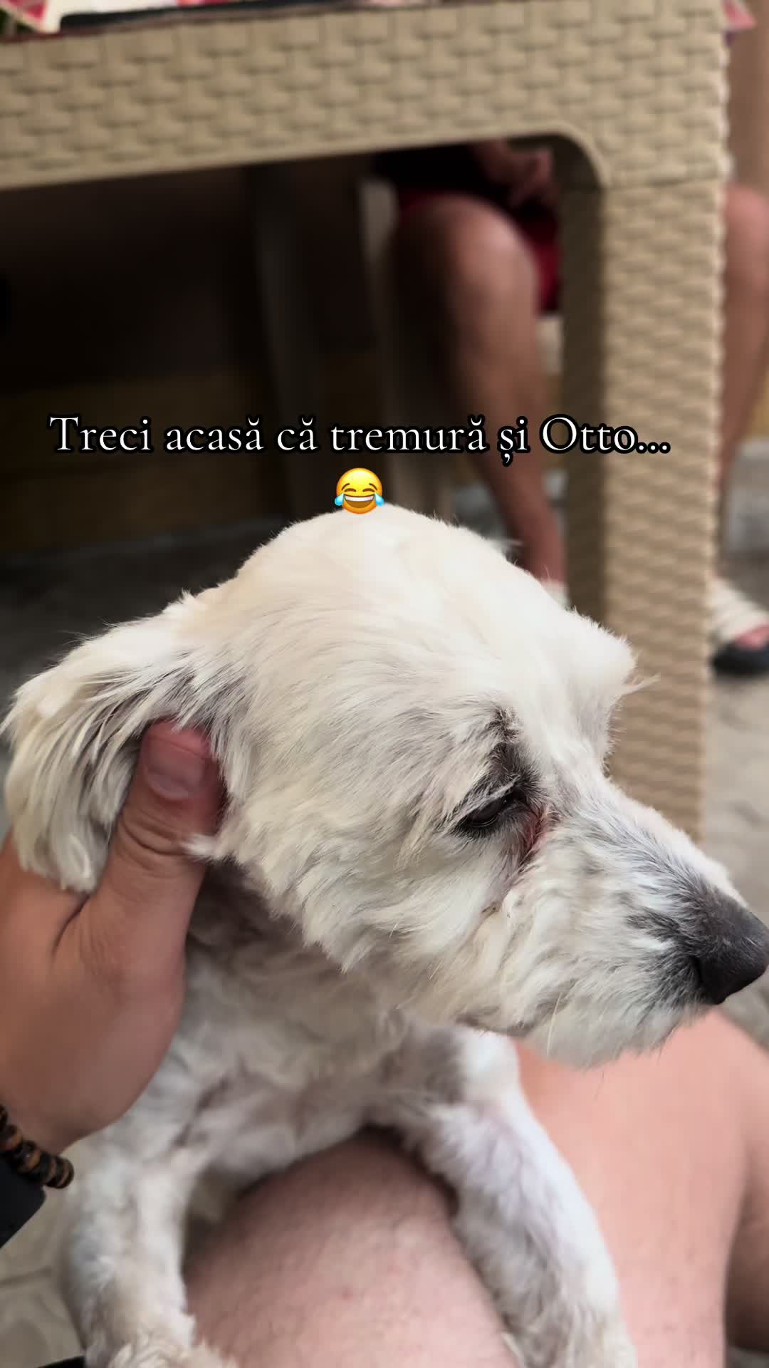 @Alex Olaru