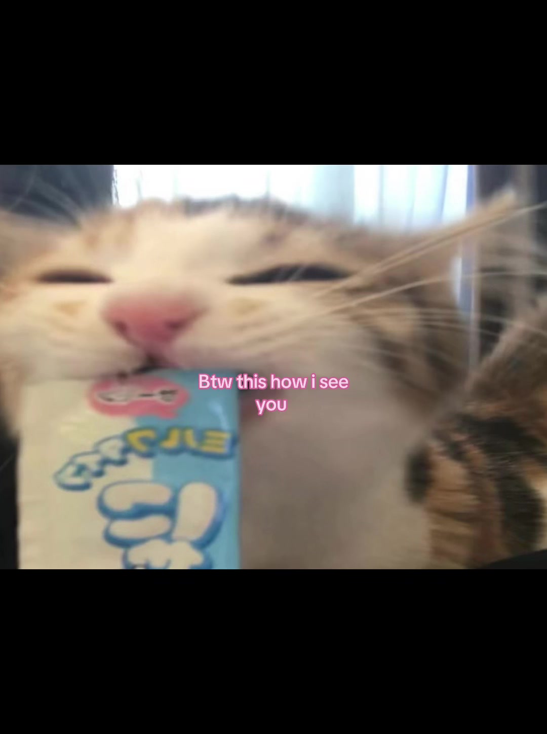 @˚₊‧꒰ა 𝒜𝓃𝑔ℯ𝓁 ໒꒱ ‧₊˚