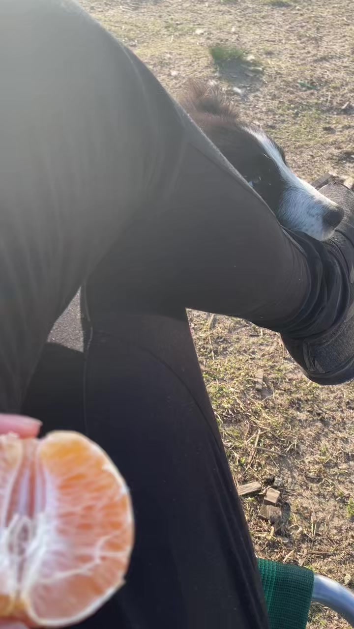 @eu_caaroline🍅