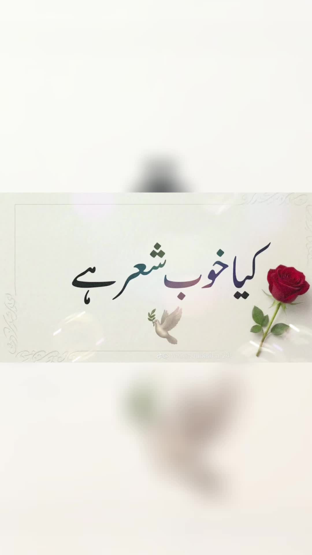 @kojajutt5050