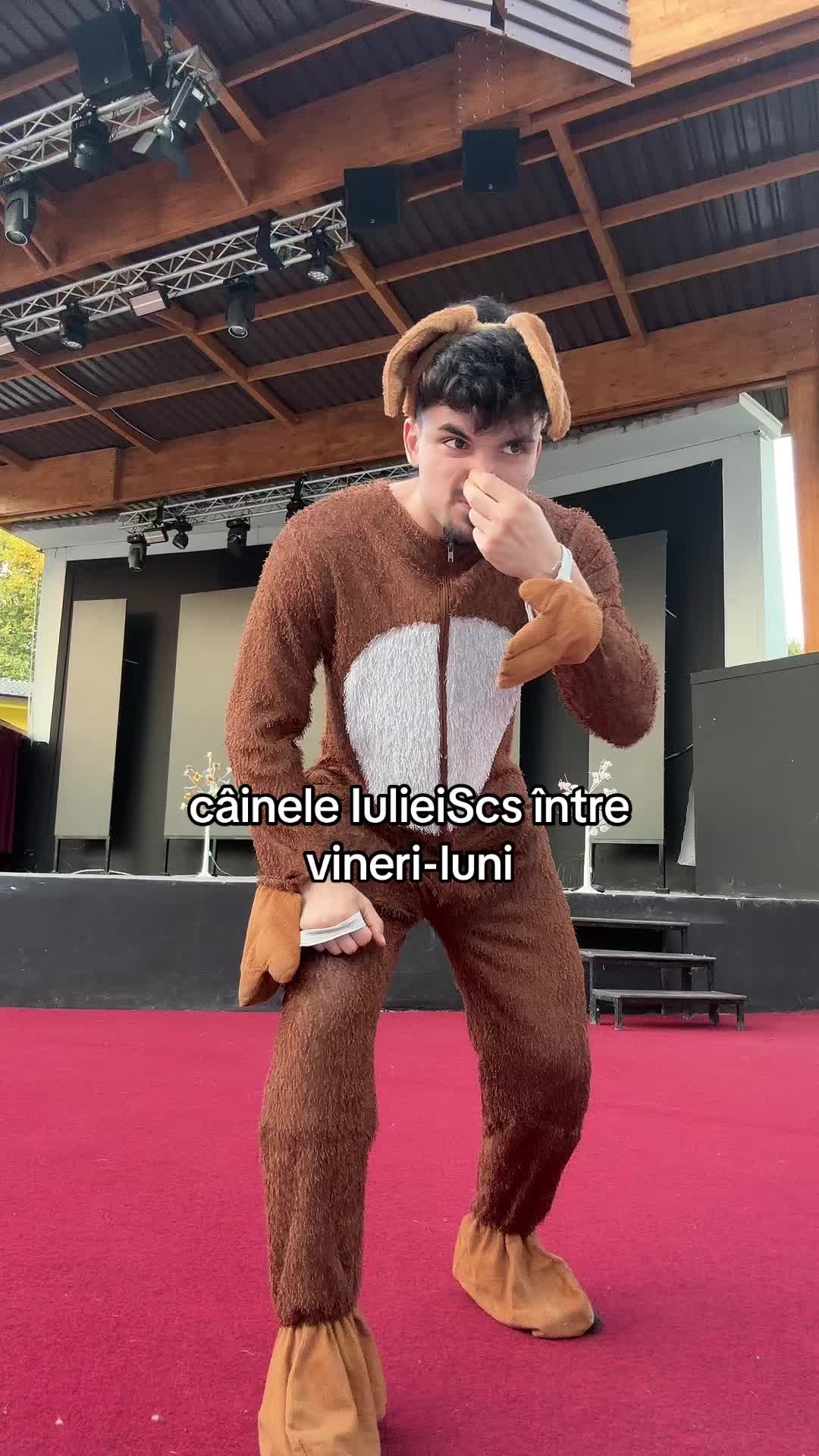 @Raducu Diaconu