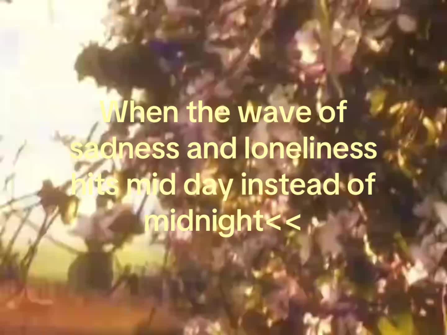 @melancholy
