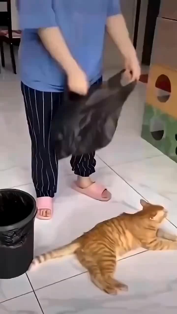 @Maria