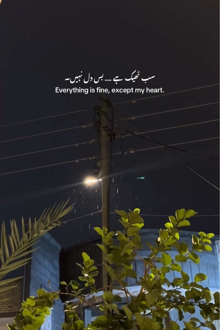 @🍁 ɴᴏᴏʀ ᴠɪʙᴇꜱ 🍁