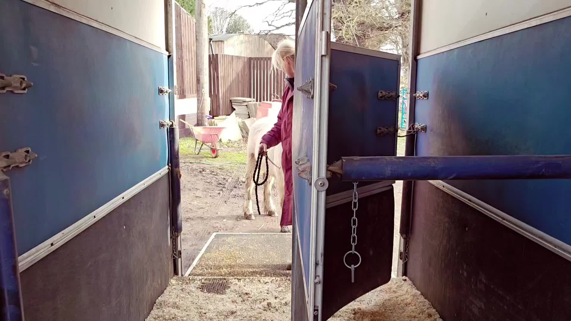 @Chase Gate Equine