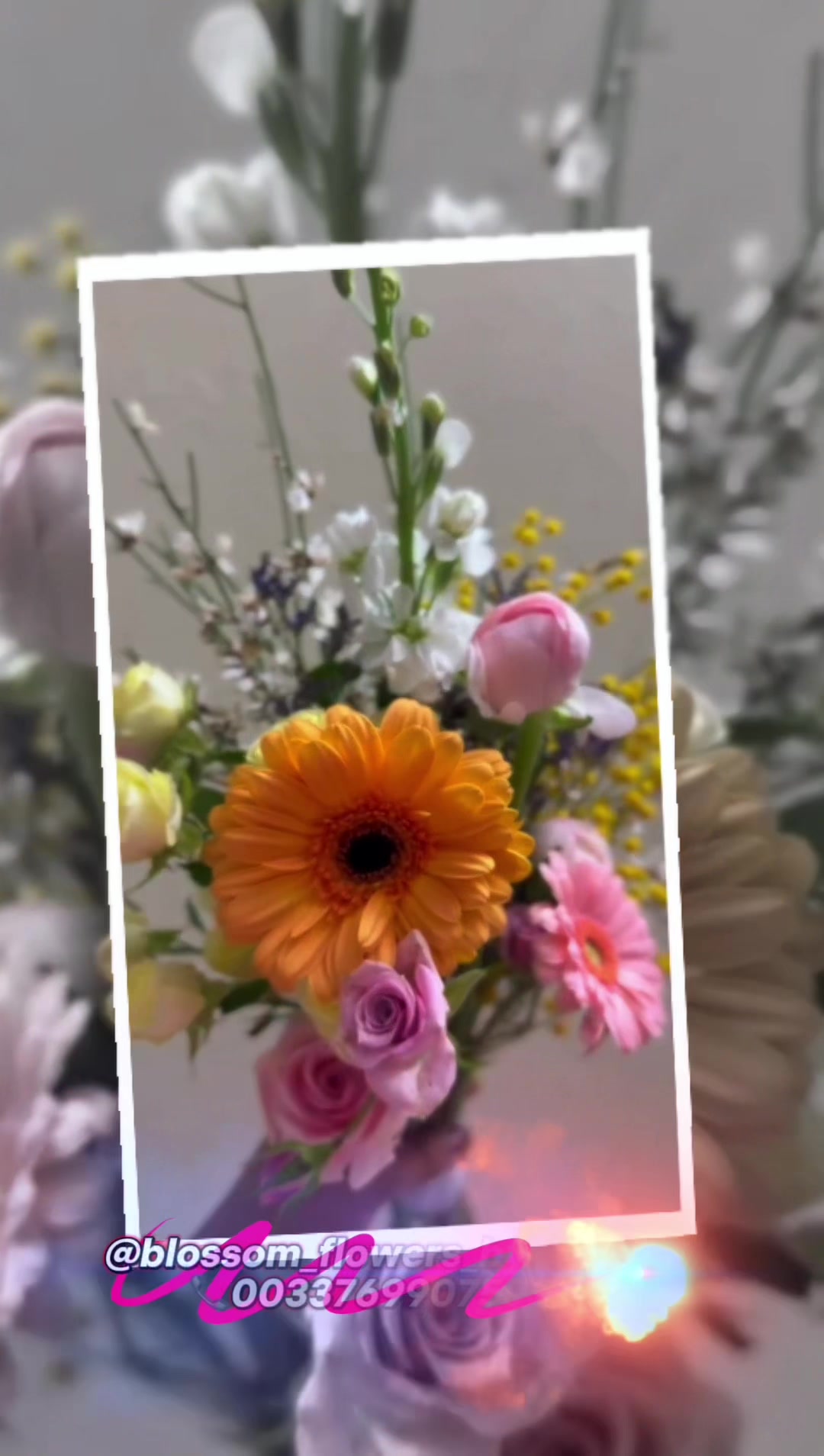 @Blossom_flowers_by_priya