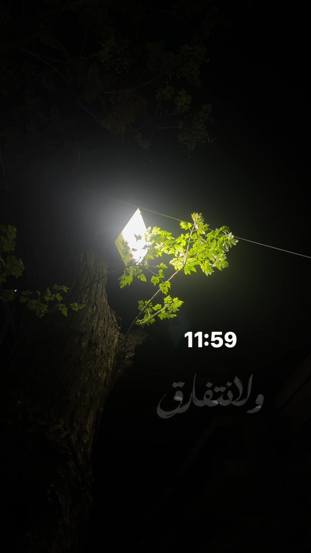 @Hasnaabadla