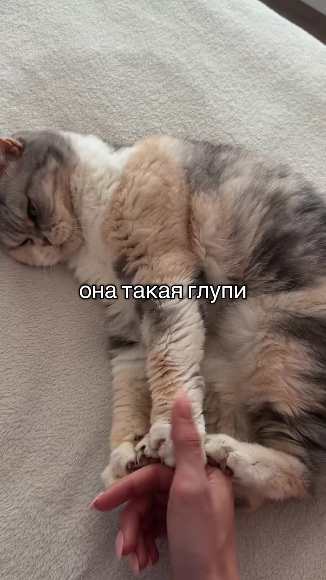 @masha/玛莎