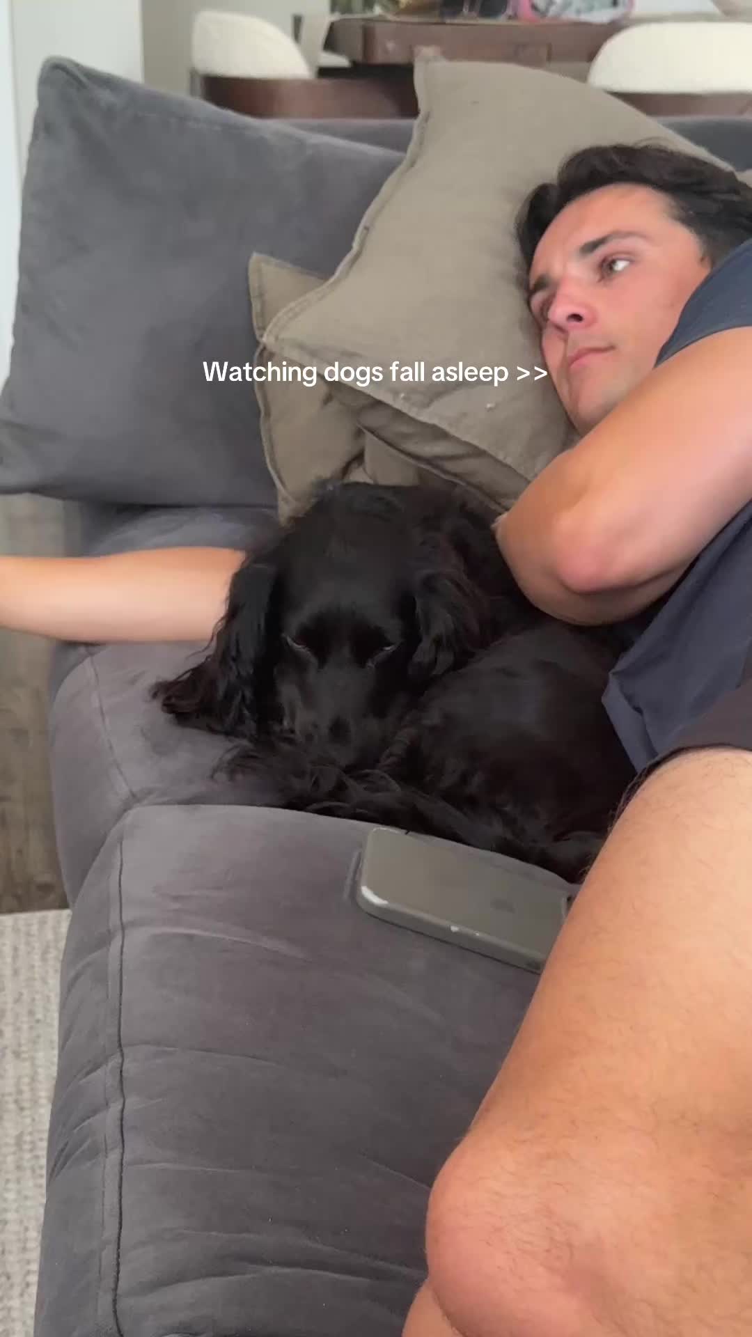 @maggie.moo.cocker