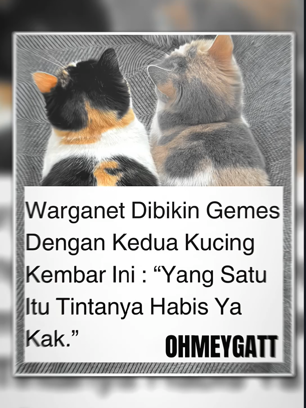 @𝙓𝙮𝙡𝙚𝙣〆𝐄𝐝𝐢𝐭𝐳