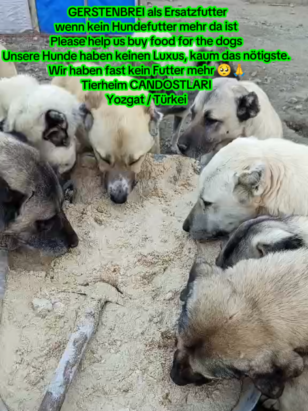 @TSV Candostlari-Beste Freunde