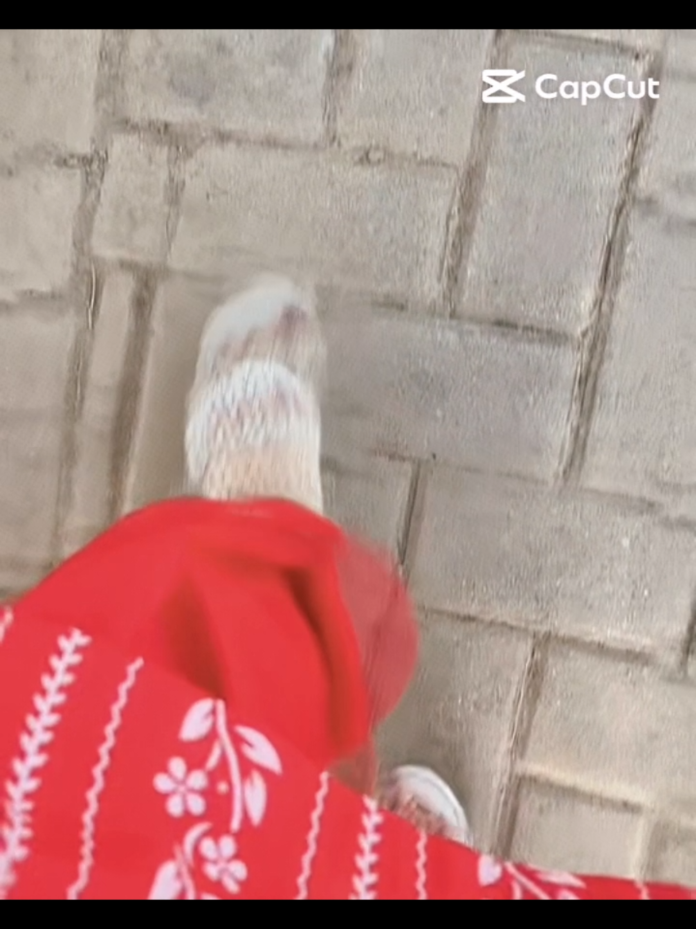 @🧸𝐓𝐞𝐝𝐝𝐲—𝐁𝐞𝐚𝐫🧸