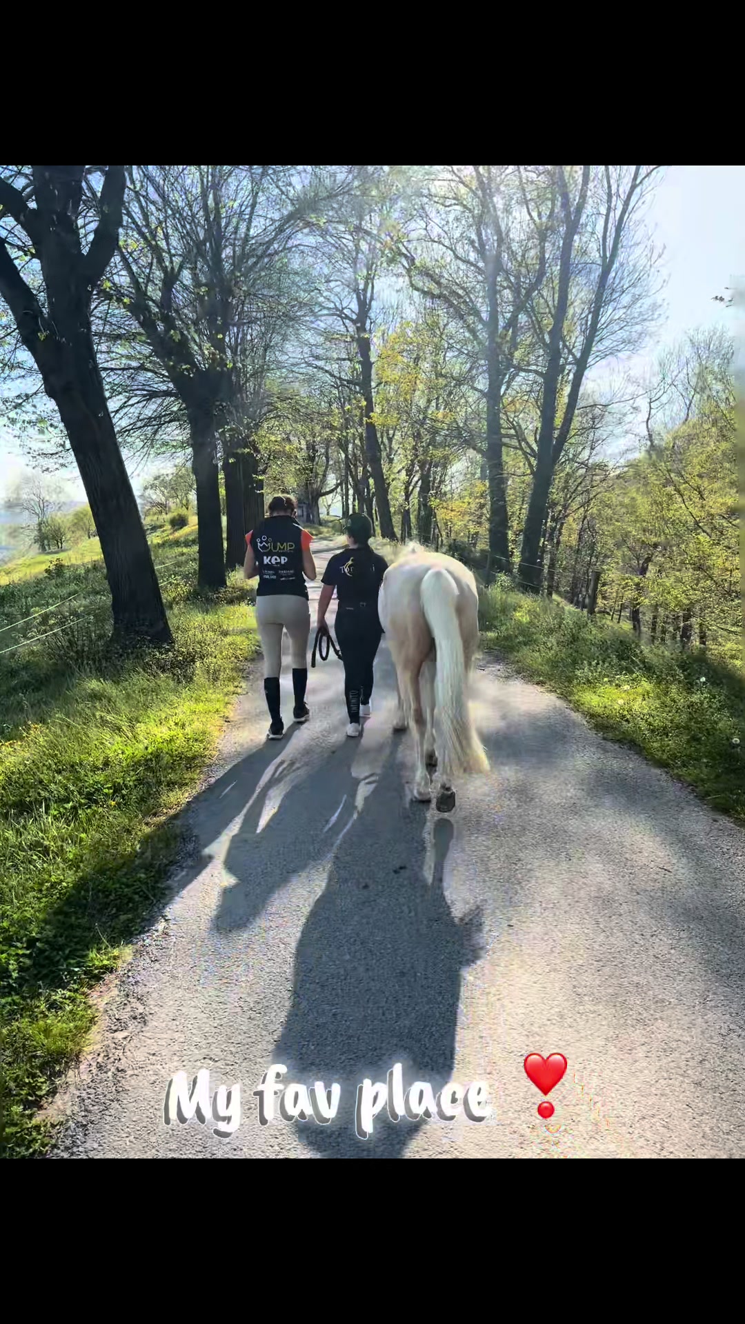 @м&iota;&alpha; 🐴💛
