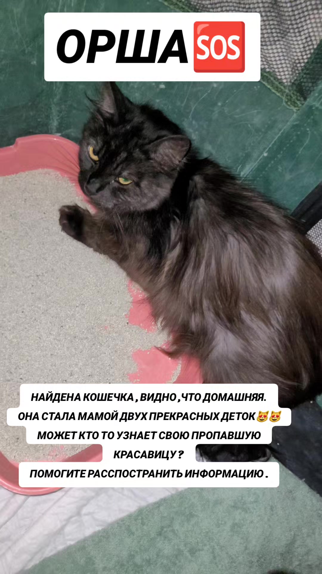 @marinka20_09