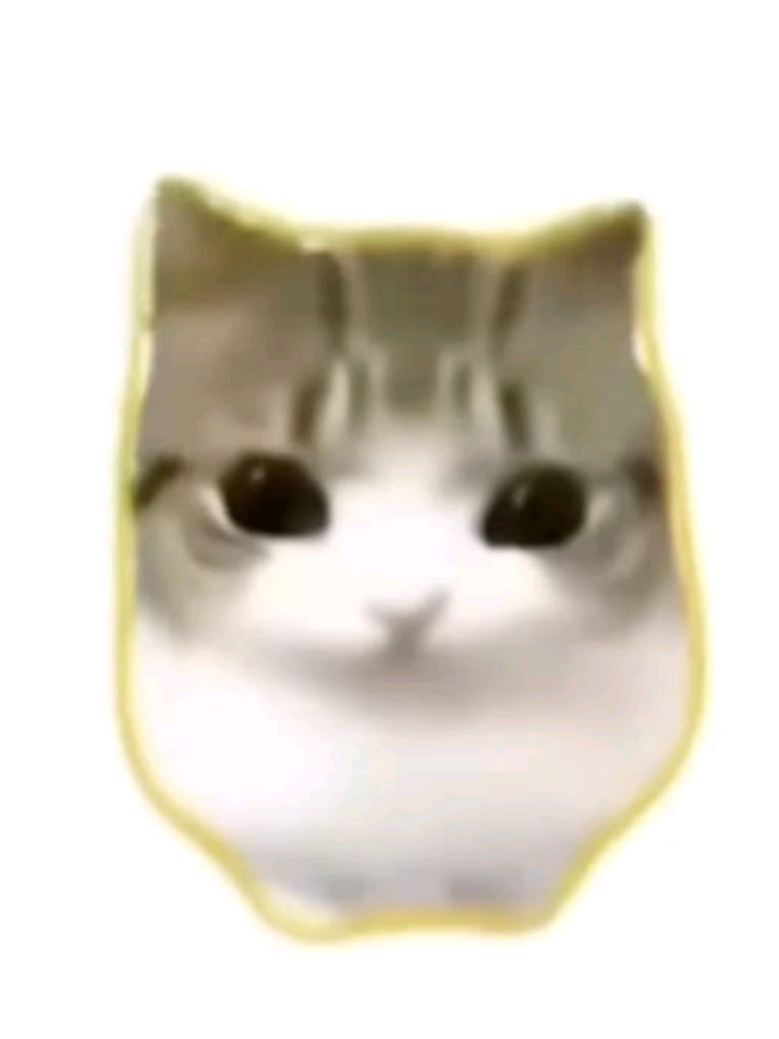 @๐ต๐๐๐ โค๏ธ๐ฉน
