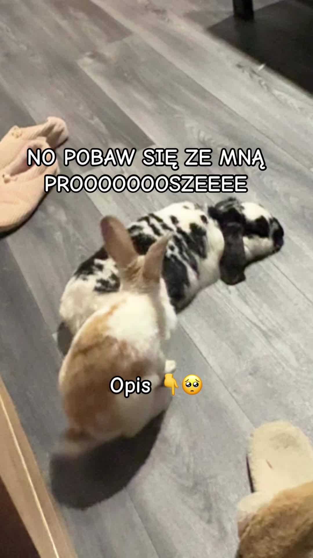 @Melania :)