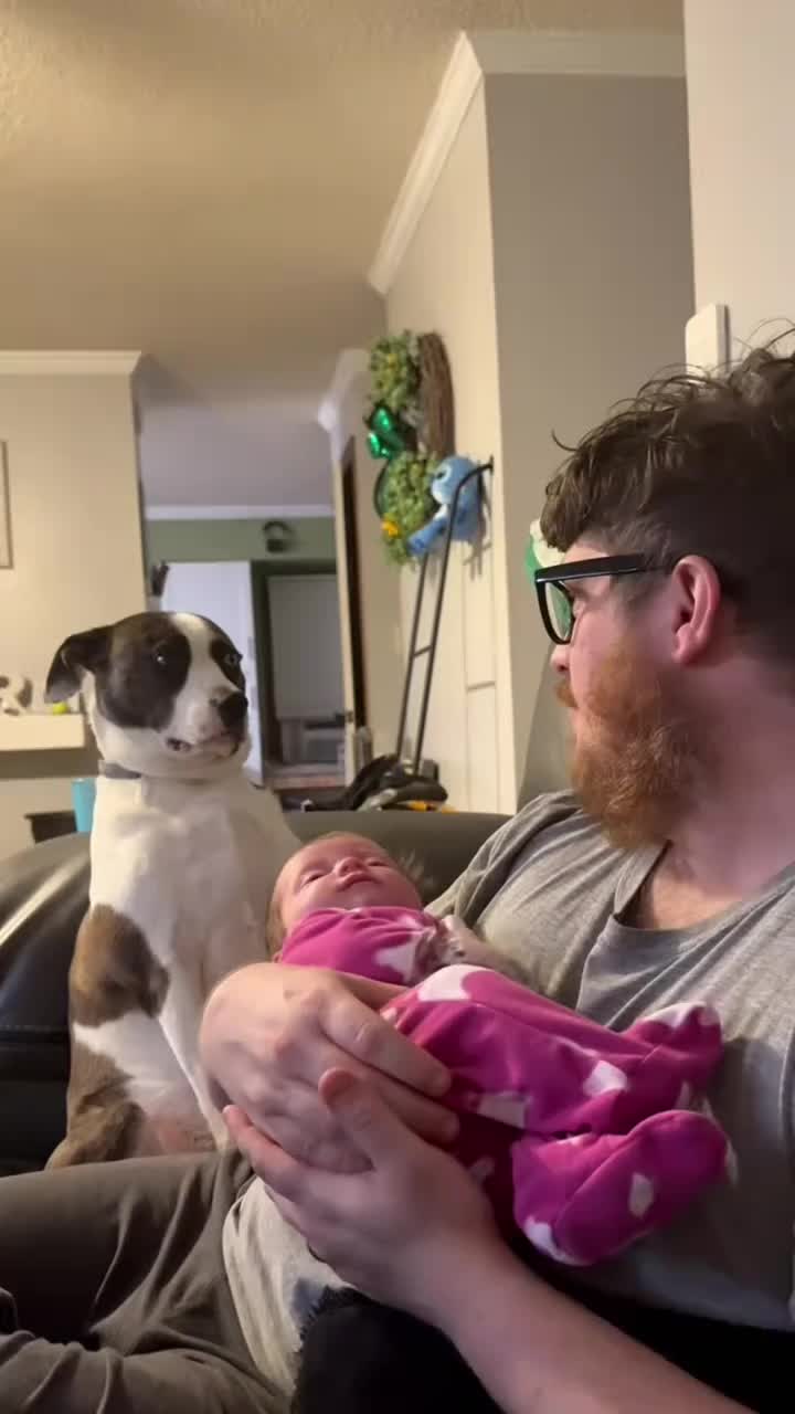 @Funny Cute