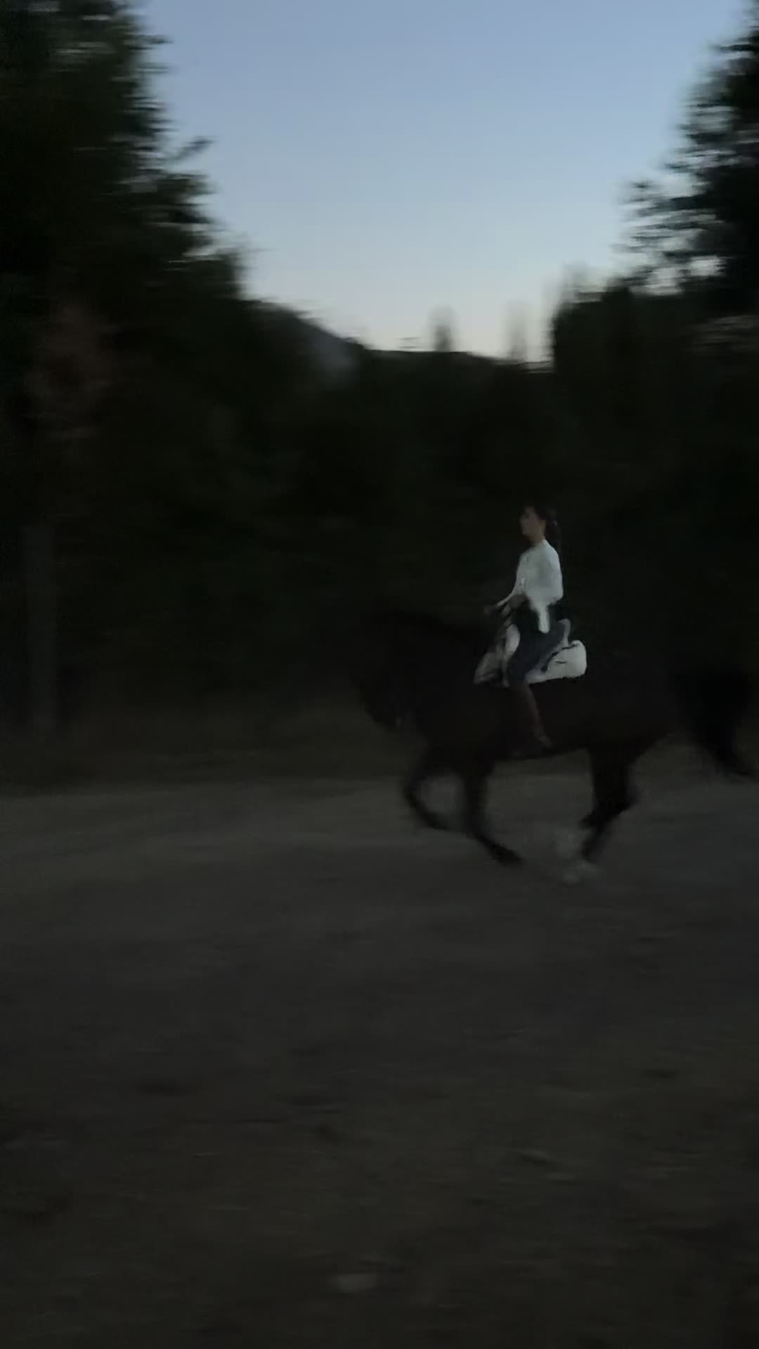 @Sandra Molina🐎🇪🇸