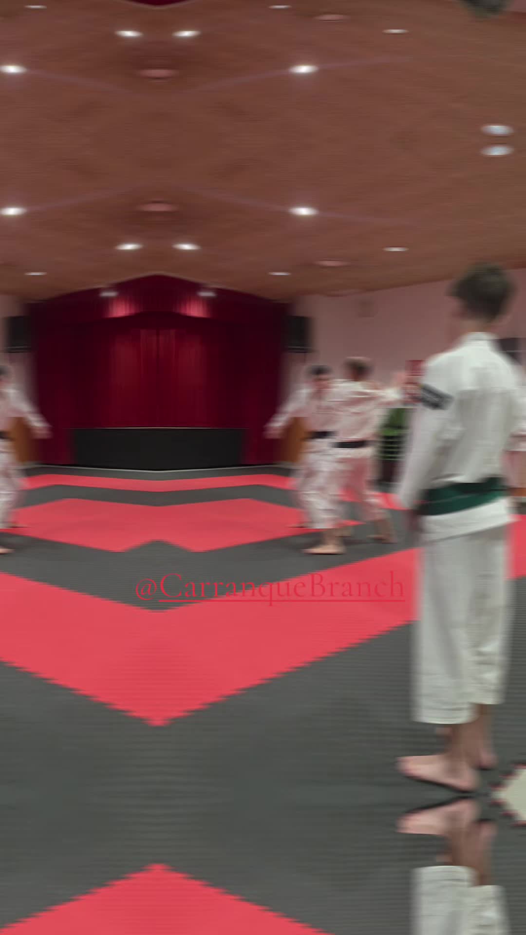@CarranqueBranch