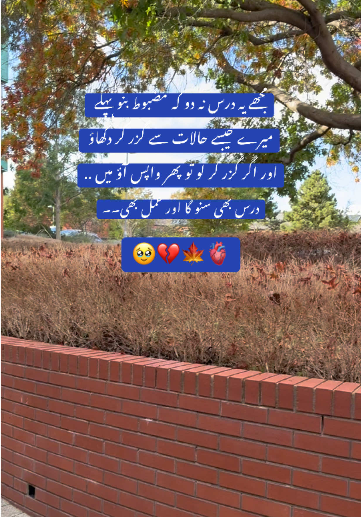 @Noor