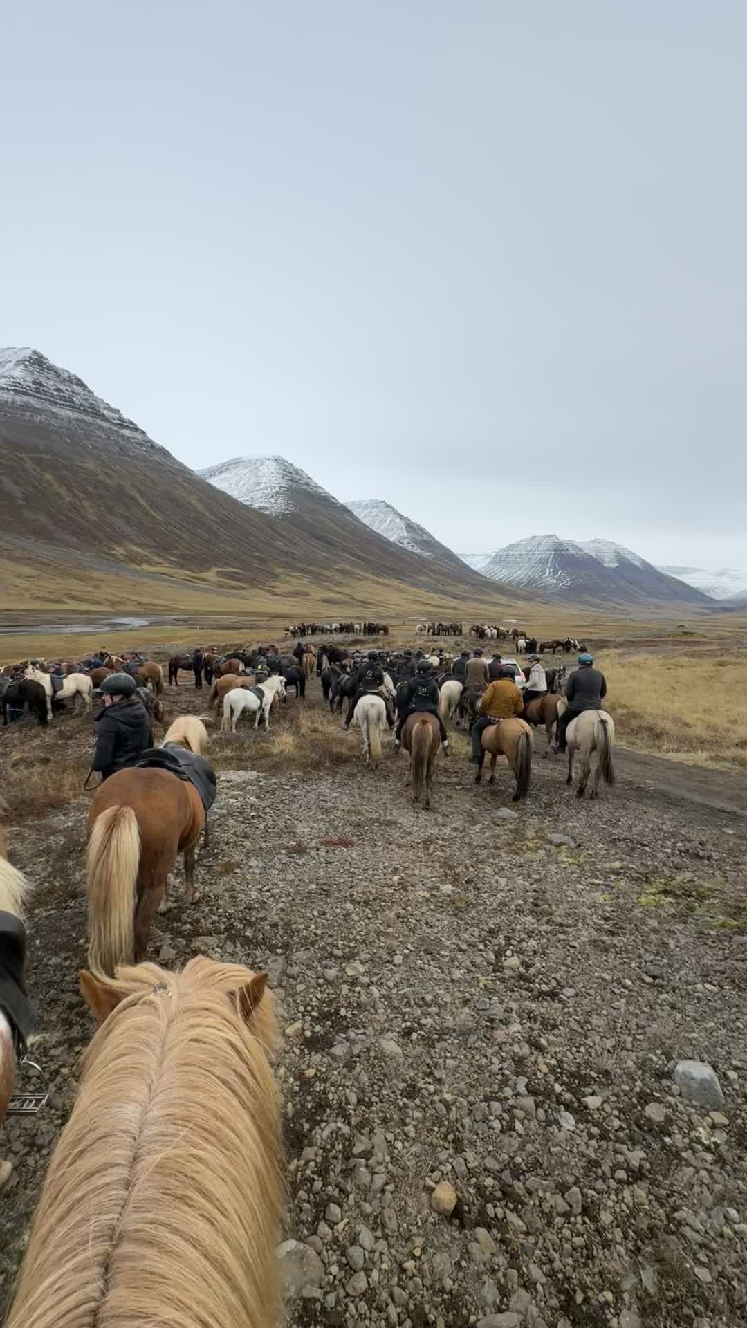 @nordwind_reitreise