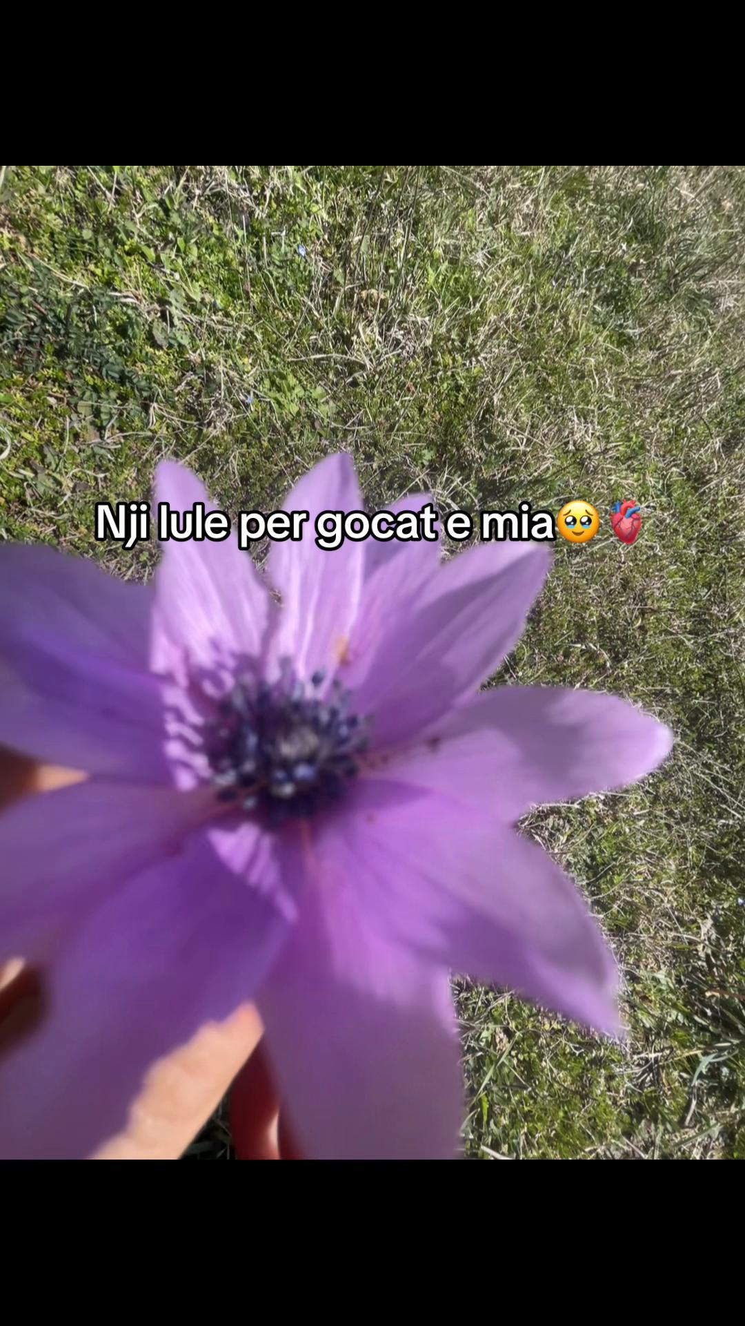 @🎀&Aacute;&ugrave;ŕ&ograve;ŕ&agrave;🎀