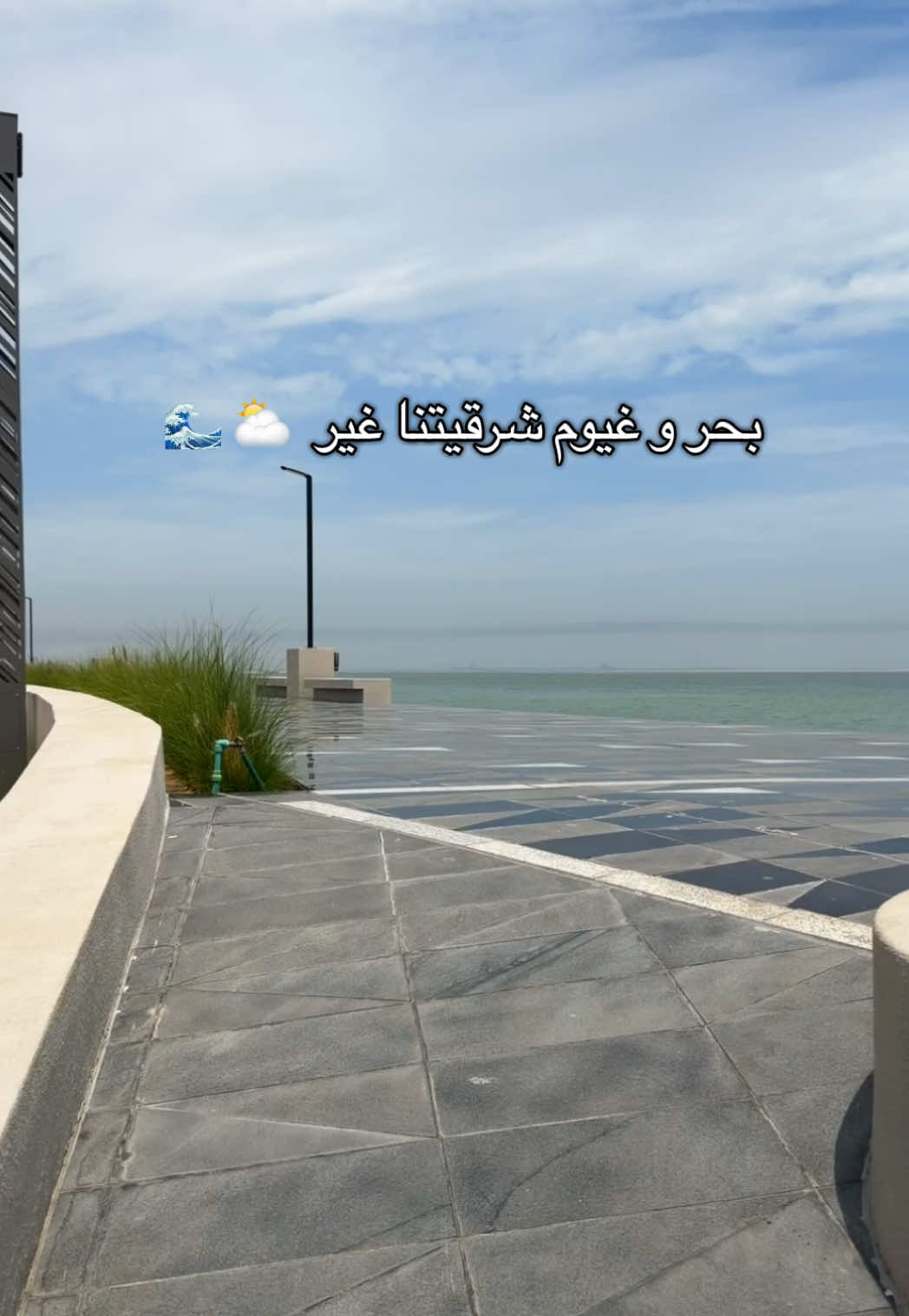 @Needa Alhabib