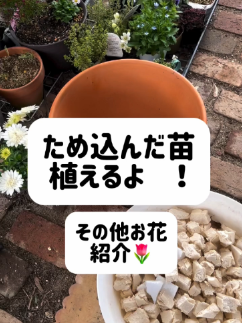 @KyotoTravelJP