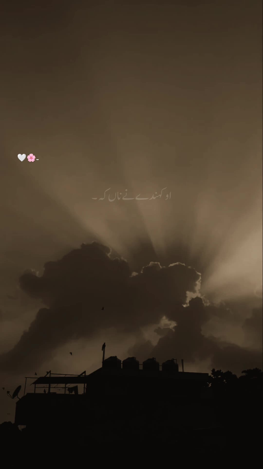 @Aaشhir 🕊️