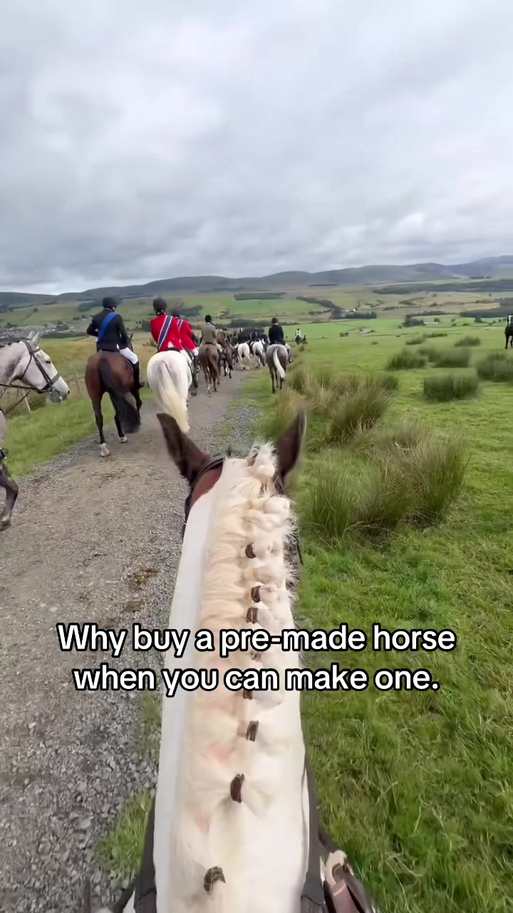 @Lilywiththecobs🐴