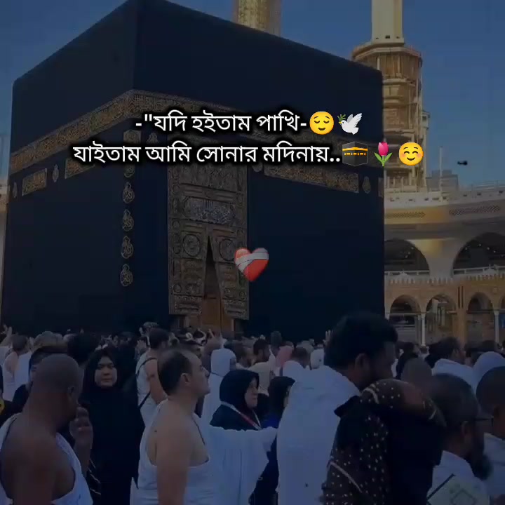 @🌸💕Ќʰ𝖆𝗱𝖎𝐣&alpha;-💕🌸