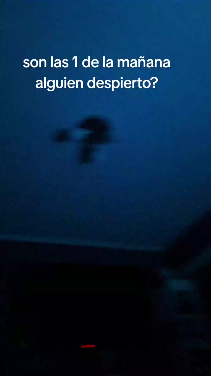 @tomi