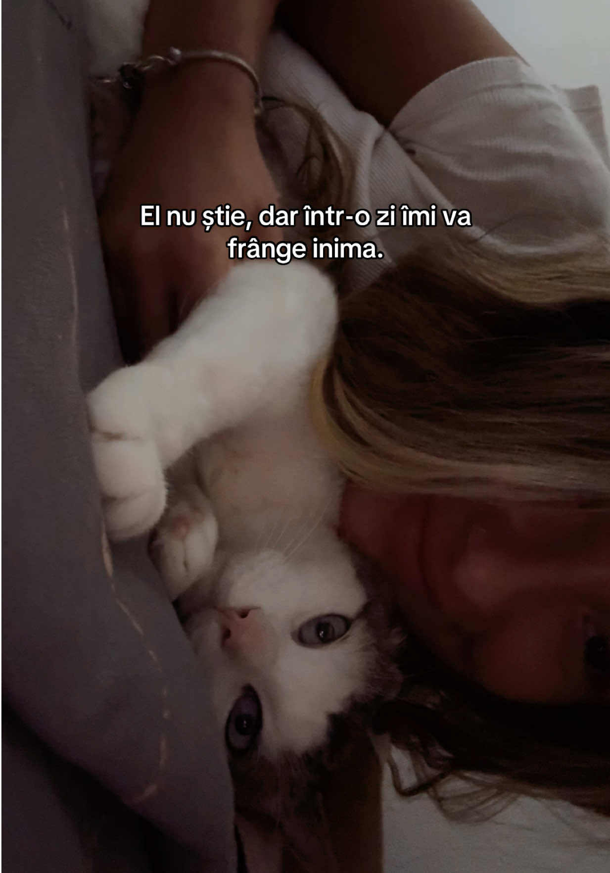 @TEDI