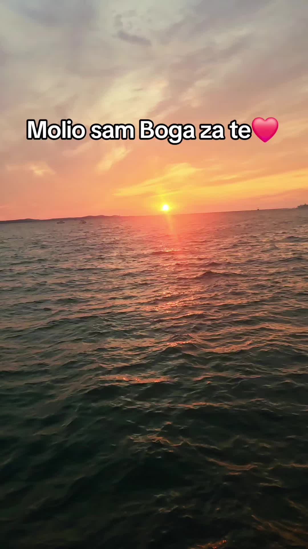 @Tina★