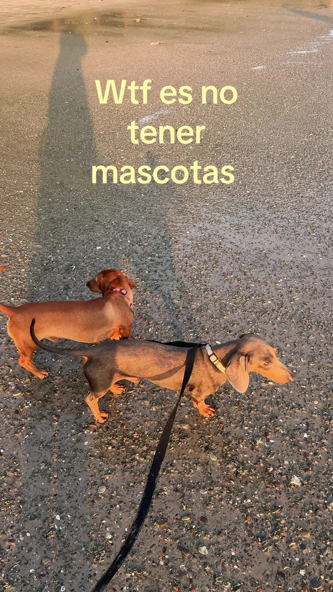 @Paola M