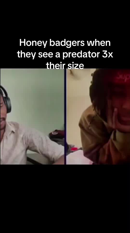 @M3LCHIAVELLI