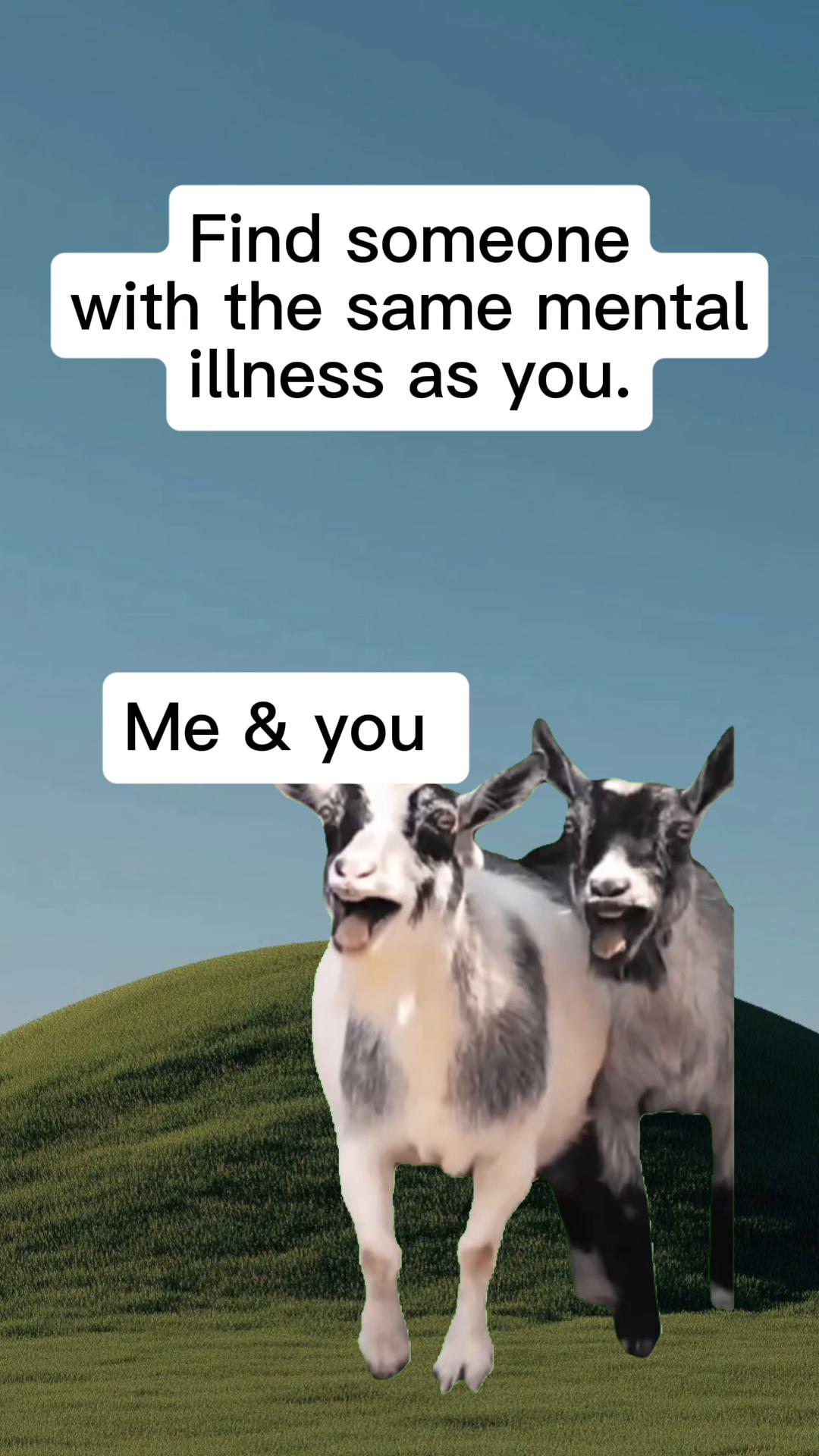 @DailyChaos