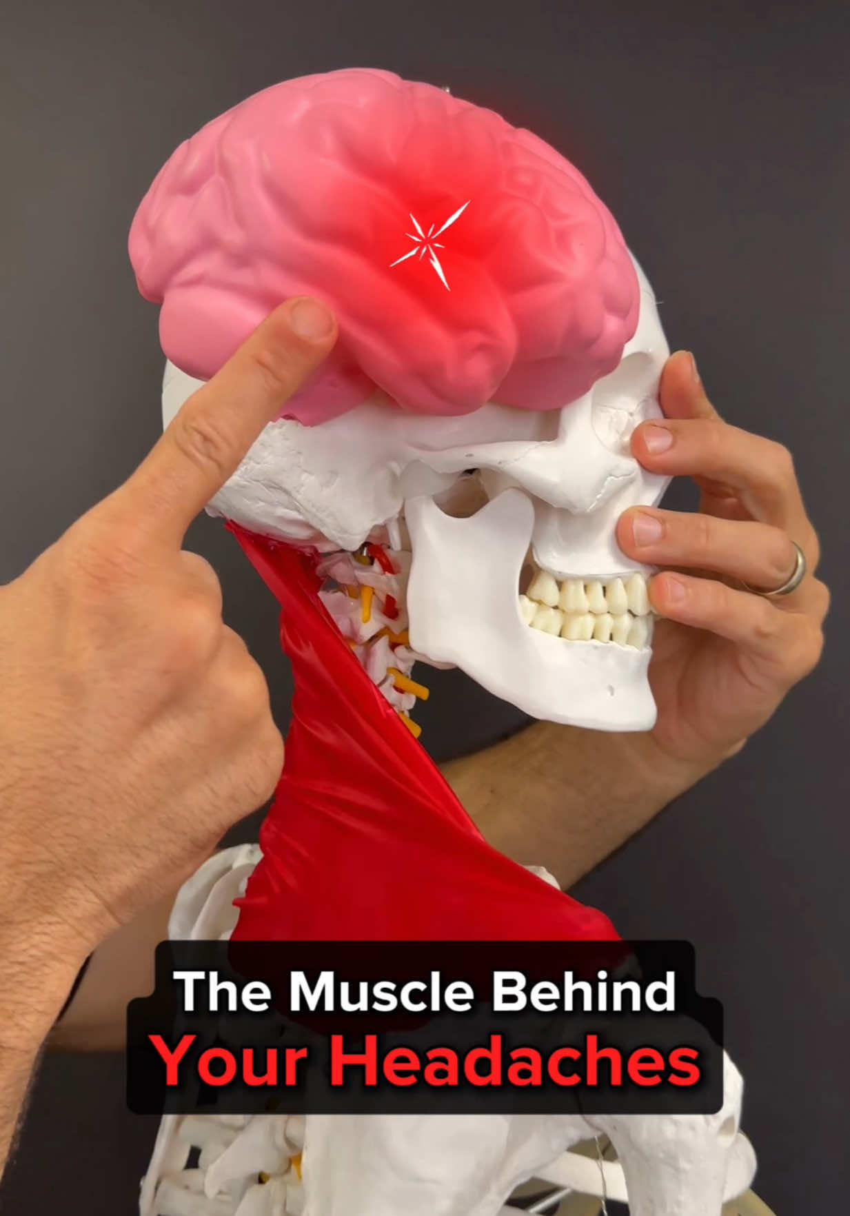 @Dr. Joe Damiani, DPT